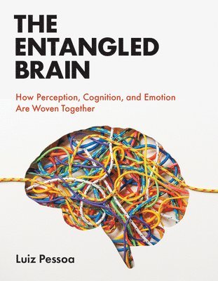bokomslag Entangled Brain