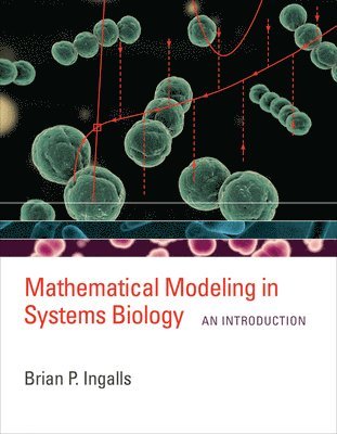 bokomslag Mathematical Modeling in Systems Biology