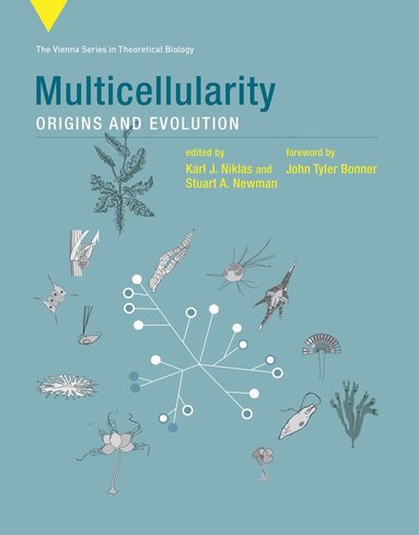 Karl J. Niklas, Stuart A. Newman - Multicellularity, Häftad