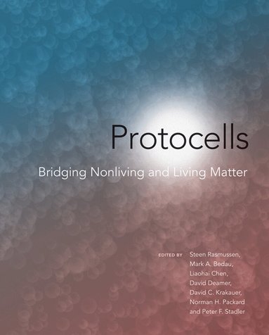 Steen Rasmussen, Mark A. Bedau - Protocells, Häftad