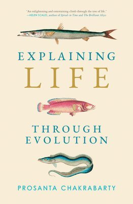 Explaining Life through Evolution 1