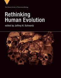 bokomslag Rethinking Human Evolution