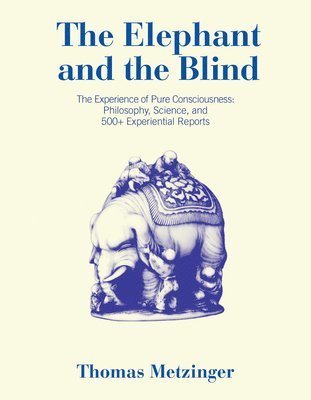 The Elephant and the Blind 1