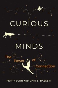 bokomslag Curious Minds