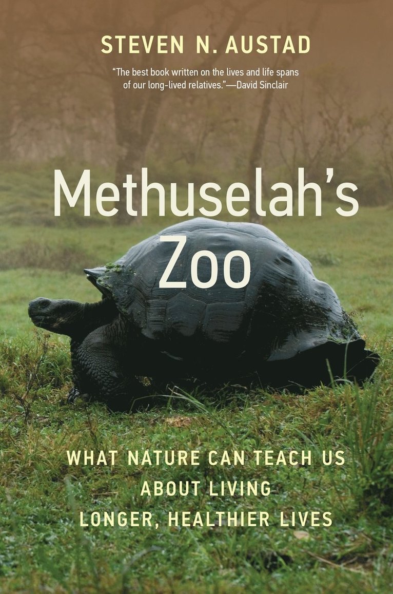 Methuselah's Zoo