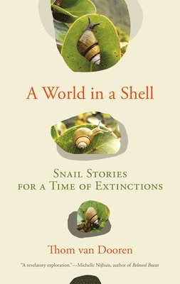 A World in a Shell 1