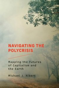 bokomslag Navigating the Polycrisis