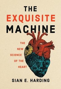 bokomslag The Exquisite Machine