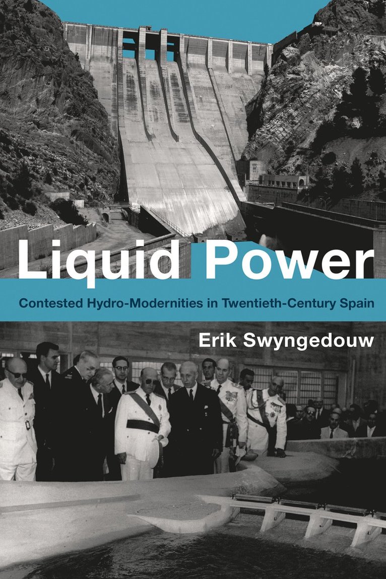 Erik Swyngedouw, The University of Manchester) Swyngedouw, Erik (Professor - Liquid Power, Häftad