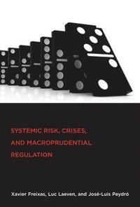 bokomslag Systemic Risk, Crises, and Macroprudential Regulation