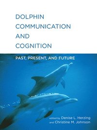 bokomslag Dolphin Communication and Cognition