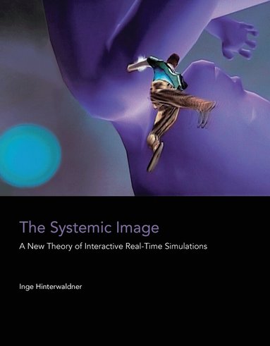 Inge Hinterwaldner - Systemic Image, Häftad