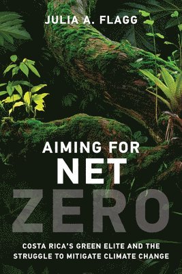 bokomslag Aiming for Net Zero