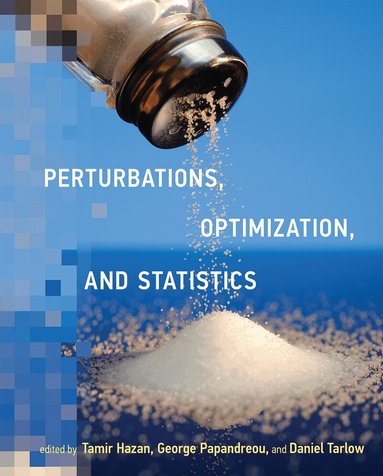 Tamir Hazan, George Papandreou, Daniel Tarlow - Perturbations, Optimization, and Statistics, Häftad
