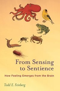 bokomslag From Sensing to Sentience