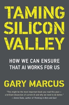 bokomslag Taming Silicon Valley