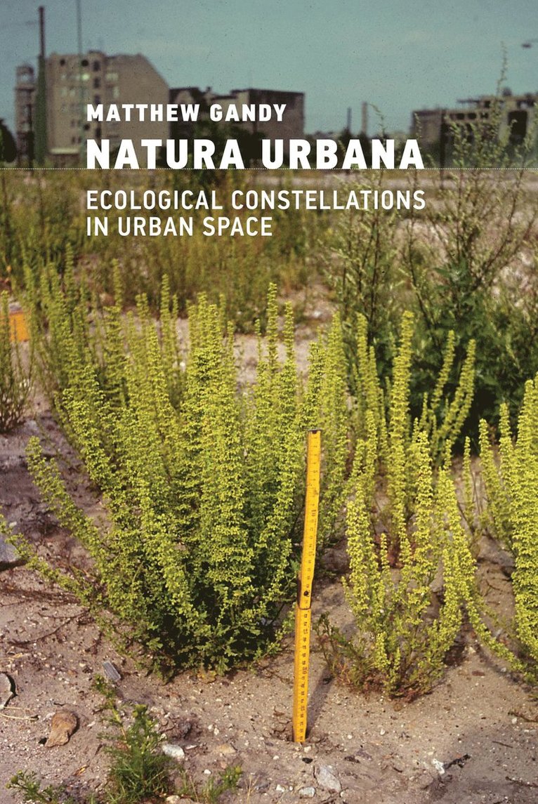 Matthew Gandy - Natura Urbana, Häftad