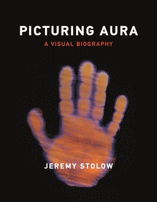 Jeremy Stolow - Picturing Aura, Häftad