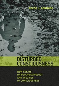 bokomslag Disturbed Consciousness
