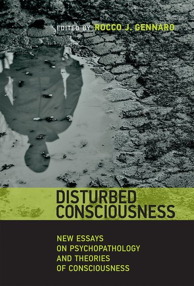 Rocco J. Gennaro - Disturbed Consciousness, Häftad