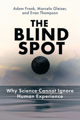 The Blind Spot 1