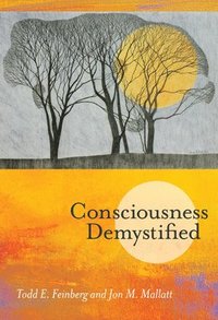 bokomslag Consciousness Demystified