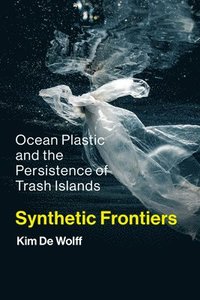 bokomslag Synthetic Frontiers