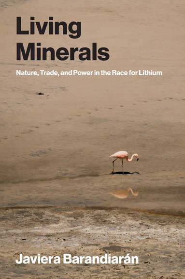 Javiera Barandiaran - Living Minerals, Häftad