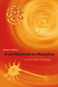 bokomslag From Molecule to Metaphor