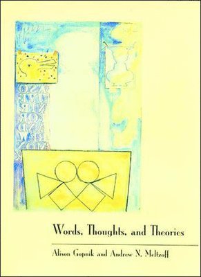 Alison Gopnik, Andrew N. Meltzoff - Words, Thoughts, and Theories, Häftad