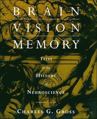 Brain, Vision, Memory 1