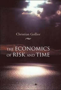 bokomslag The Economics of Risk and Time