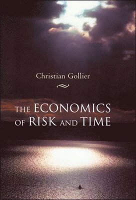 The Economics of Risk and Time 1