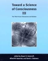 bokomslag Toward a Science of Consciousness III