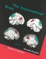 bokomslag The Asymmetrical Brain