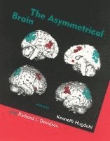 Asymmetrical Brain