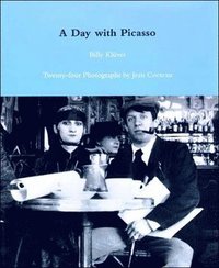 bokomslag Day with Picasso