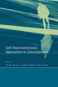 bokomslag Self-Representational Approaches to Consciousness