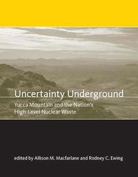 bokomslag Uncertainty Underground