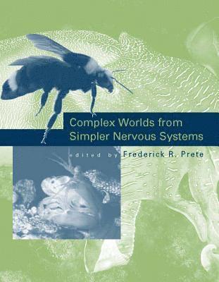 Complex Worlds from Simpler Nervous Systems 1