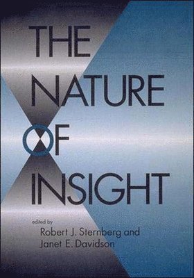 Janet E. Davidson, Robert J. Sternberg - The Nature of Insight, Häftad
