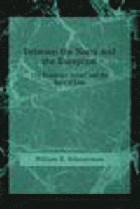 bokomslag Between the Norm and the Exception: The Frankfurt School and the Rule of Law