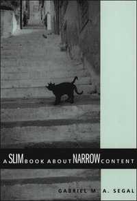 bokomslag A Slim Book about Narrow Content