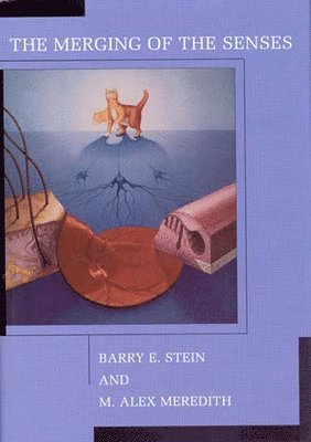 Barry E. Stein, M. Alex Meredith, Wake Forest University School of Medicine) Stein, Barry E. (Professor and Chair, M. Alex (Virginia Commonwealth University School of Medecine) Meredith - Merging of the Senses, Häftad