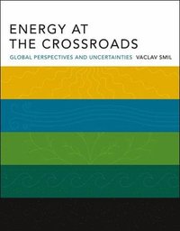 bokomslag Energy at the Crossroads