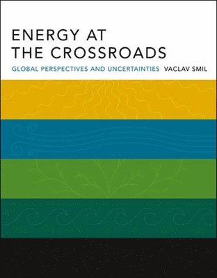 bokomslag Energy at the Crossroads