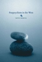 bokomslag Panpsychism in the West