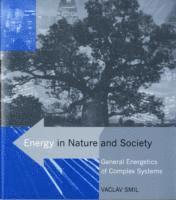 bokomslag Energy in Nature and Society