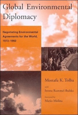 bokomslag Global Environmental Diplomacy