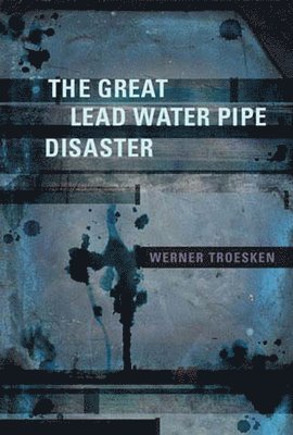 bokomslag The Great Lead Water Pipe Disaster